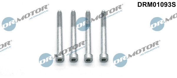 Dr.Motor Automotive DRM01093S Screw, injection nozzle holder for CITROËN,DS,FORD