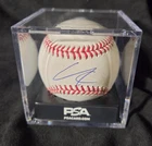 PSA Kristian Campbell Red Sox ball baseball auto signed NO Ted Williams