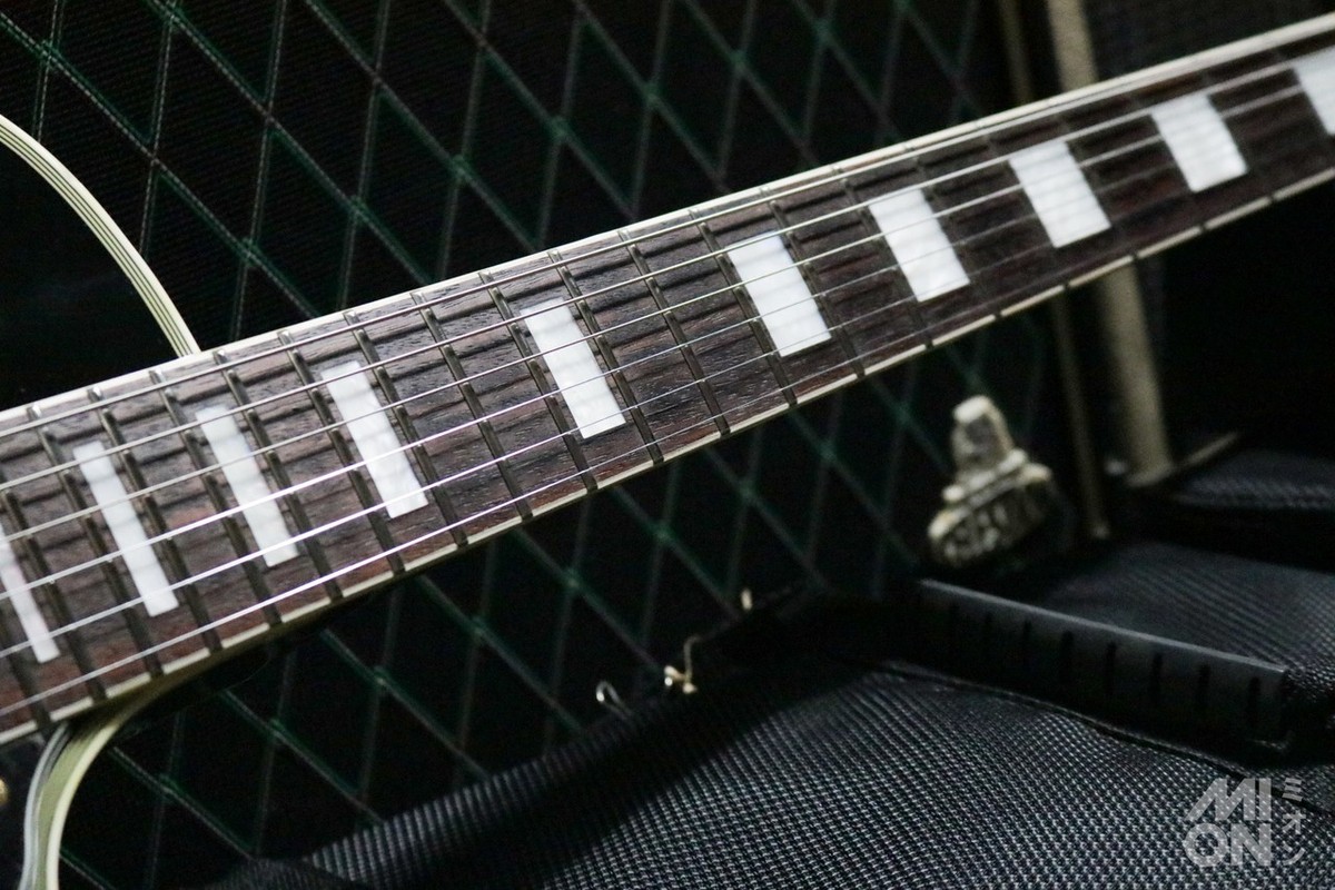 ギター FUJIGEN (FGN) / Neo Classic NCLS-10R NLS10RFM / FGN Guitars