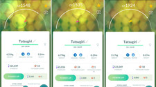  Non Shiny Tatsugiri (Nigiragi) All 3 Form in...