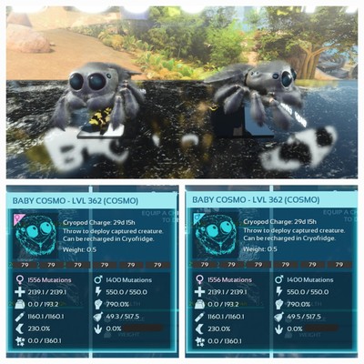 ARK ASCENDED PVE OFFICIAL PAIR BABY COSMO BLACK ID79 TOP STATUS PS5/PC/XBOX