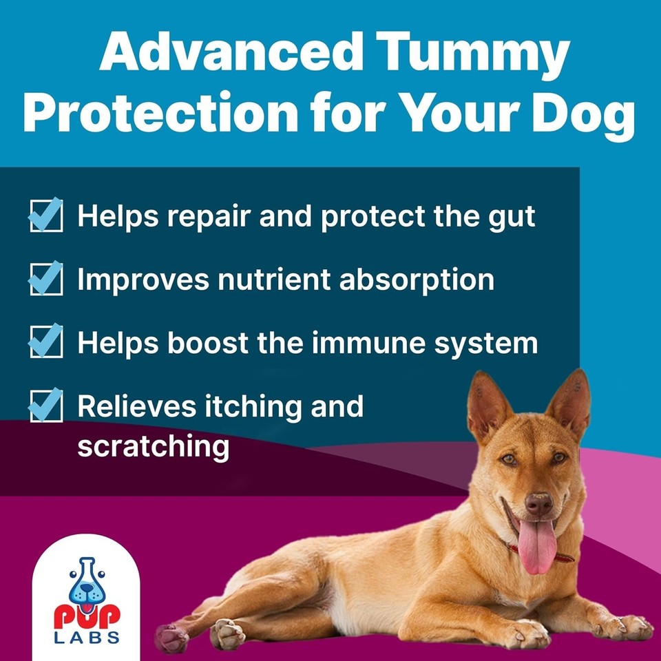Gallery Detail: K9 Belly Bliss All Natural Gut Health For Dogs Vet