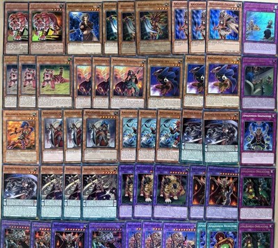 Amazoness - Deck Core *Ready To Play* YuGiOh Bundle 61 CARD Set A