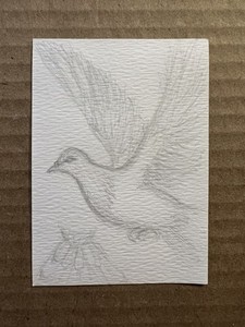 ACEO Original Pigeon Sketch Card 3x2.5 5of5 graphite firebutterfly NixR
