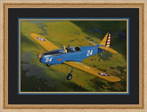 Ghosts Aircrafts Fairchild PT-19 Cornell Custom Framed Print - Picture 1 of 2
