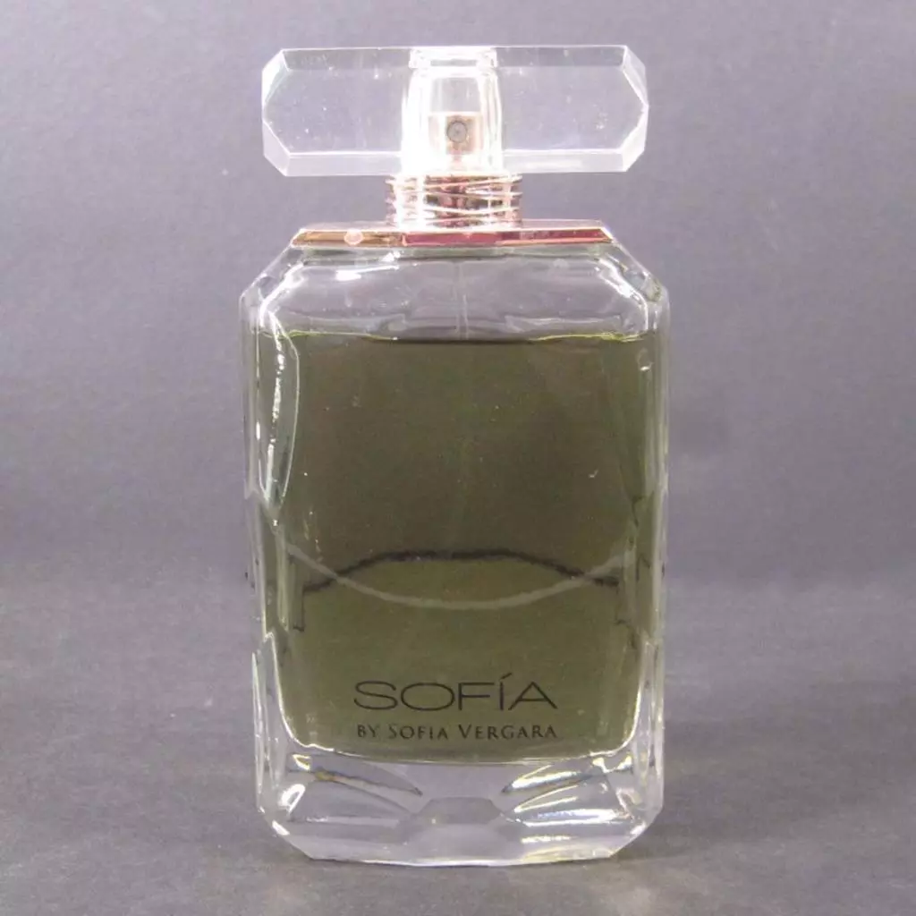 Sofia By Sofia Vergara Eau De Parfum Spray 100 ML 3.4 Ounce