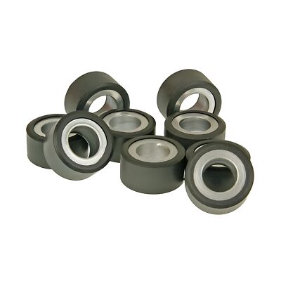 Variomatikgewichte Polini 20x12mm - 14,1g