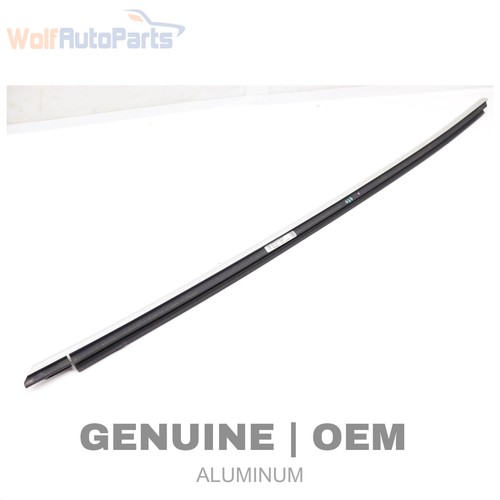 2020-2024 PORSCHE TAYCAN - Front LEFT DOOR Window SLOT SEAL / TRIM (Exterior)