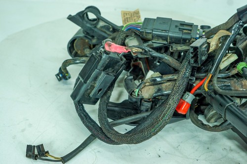 Arnés de cableado principal 13 Harley Sportster personalizado OEM telar encendido NOKey 1357 - Imagen 6 de 24