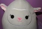 Foto 3 di 4