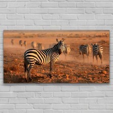 Print on Glass Modern Home Decoration Photo Gift 140x70 Zebras in National Park