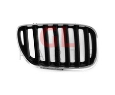 Nuovo Paraurti Anteriore Griglia PER BMW X5 E53 2004-2006 7113734 Destro