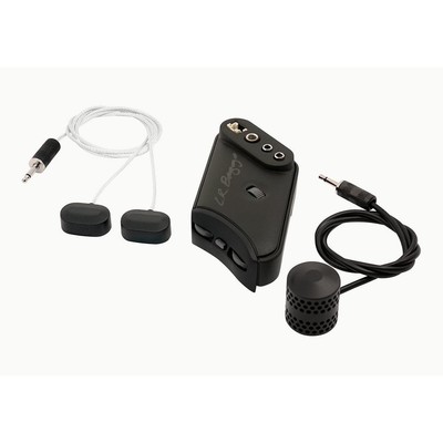 L.R. Baggs HiFi Duet
