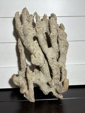 Vintage Natural Sea Sponge