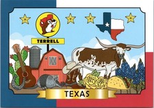 4x6 Postcard - Buc-ee's Terrell Texas  - Longhorn, Boots Bluebells Cactus- New