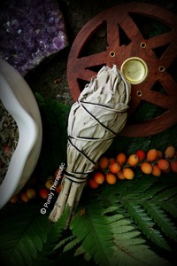 Download WHITE SAGE SMUDGE STICK Packed Wicca Pagan Healing Cleanse ...