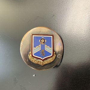 Old New York National Guard 106th Infantry Rosette Mint Condition