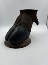 Vintage Water Buffalo Foot/Hoof Ashtray Oddity Wood Stand See Pics