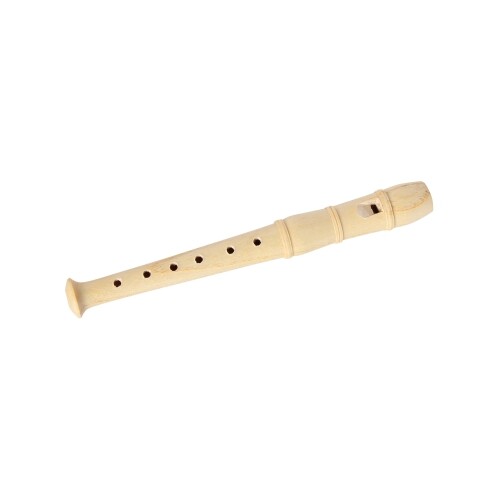 Medium Recorder 4013594351201| eBay