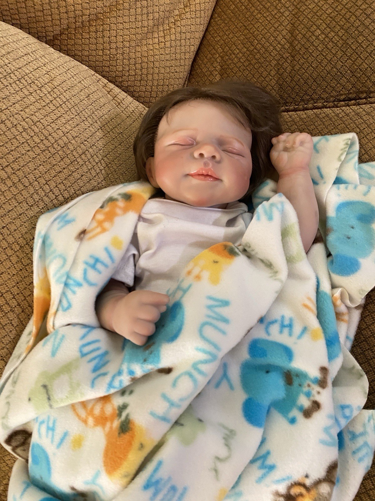 19&rdquo; Reborn Baby Doll Lifelike Weighted Newborn Girl Rooted