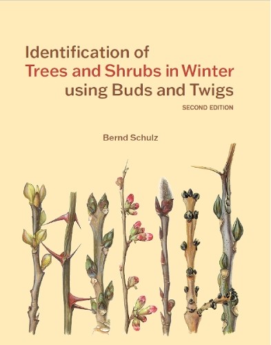 Identification of Trees and Shrubs in Winter using Buds and T... - 9781842468340 - Afbeelding 1 van 1