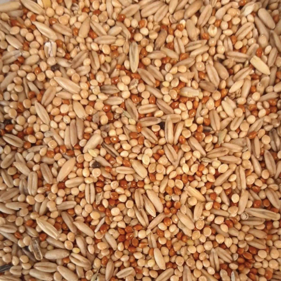 Wellensittichfutter 25 kg Vogelfutter Sittichfutter Ziervogelfutter 1A Qualität - Bild 2 von 2