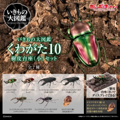 The Diversity of Life on Earth Stag Beetle 10 w/ Tree Bark Type Stand Bandai