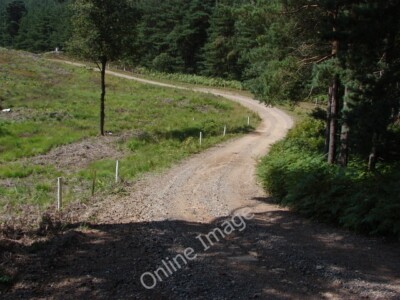 Foto 6x4 Ash Ranges Pirbright Camp Die Umkreisungsstraße bei Longdown Hill.  c2010