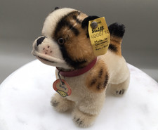 Vintage Steiff Bully Bulldog 4000/10 Full IDs, Original Collar Name Tag