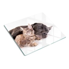 Tulup Glass Worktop Saver Splashback Chopping Board 60x52cm - Dog and cat