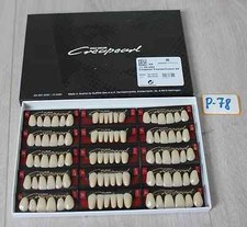 Willi Geller Creapearl Frontzähne 15 Garnituren D4 NEU Art. Nr. P-78