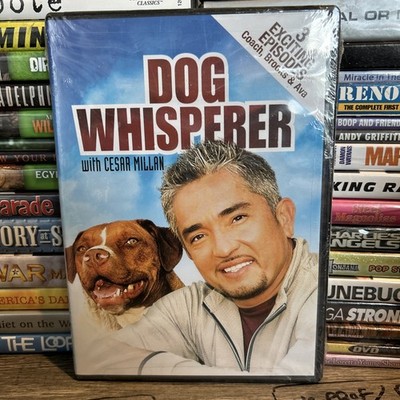 Dog Whisperer with Cesar Millan DVD 2004 FullScreen Dog Trainer New Sealed - O