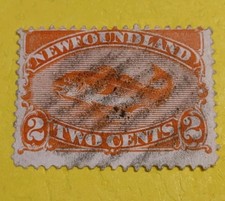 Newfoundland 1880s, Codfish Stamp, Scott# 48,2cts orange ??Used 6Cts(1903_1)
