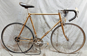 RALEIGH Calton 50サイズ Raleigh Carlton | eBay