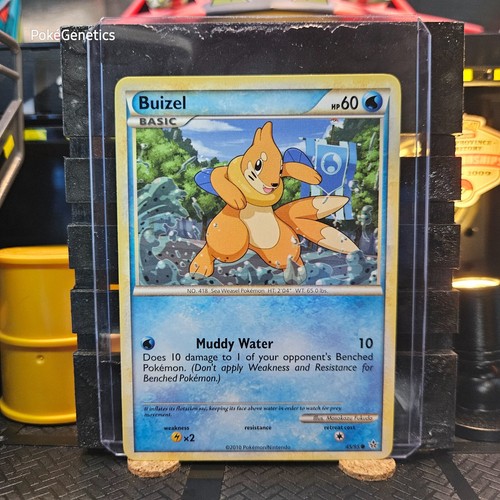 Buizel Unleashed Pokémon TCG 45/95 HeartGold & SoulSilver Common
