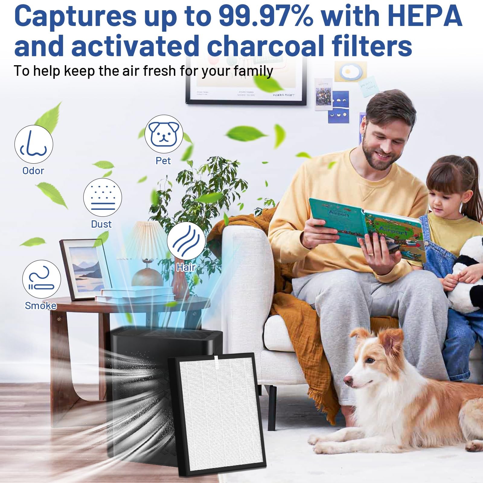 HEPA Air Filter Compatible with ToLife TZ-K2, 3-in-1, 2 Pack