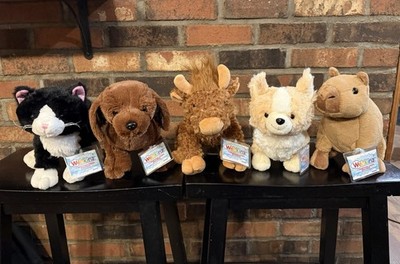 NEW 2026 SET (5) WEBKINZ NEXT: CAPYBARA, HIGHLAND COW, CORGI, B/W CAT, CHOCO LAB