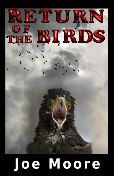 Joe Moore | Return Of The Birds | Taschenbuch | Englisch (2015)-image