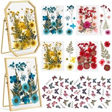 2 Pcs Glass Pressed Flower Frame with Dried Pressed Flowers, Brass Double Gla...