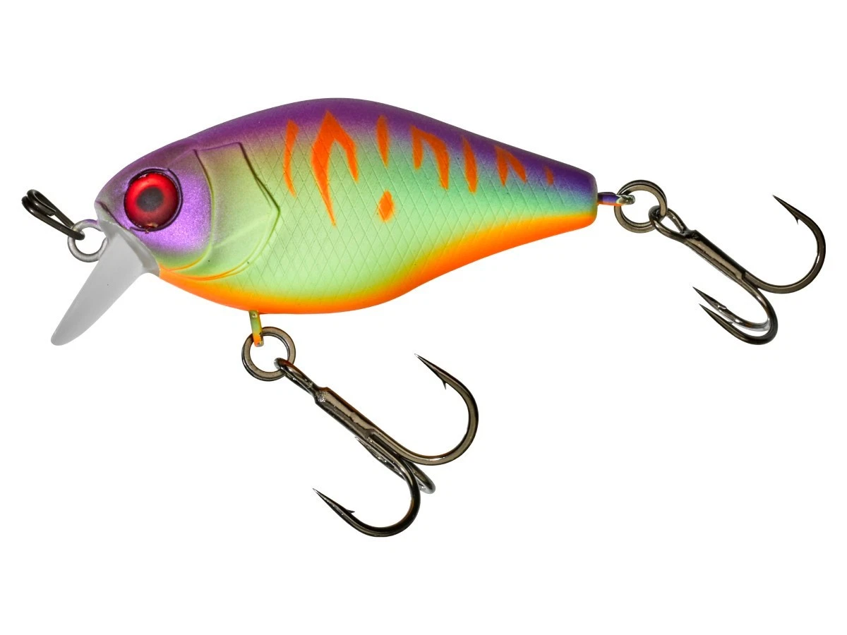 Poissons nageurs tous carnassiers | Pêche