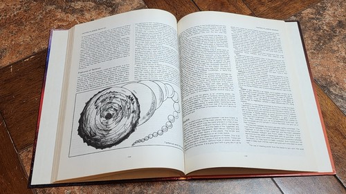 Manual of the Planes 1st Edition 1st Print AD&D 2022 1987 Dungeons & Dragons TSR - 第 15/16 張圖片