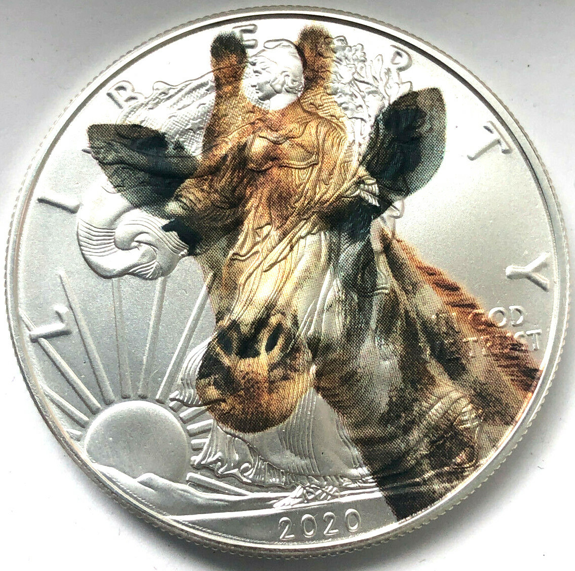 Picture 1 of 4