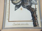 Bild 3 von 9