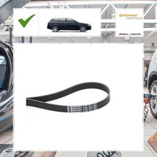 Continental Ctam Keilrippenriemen AUDI A4 Avant (8ED, B7) 2.0 TDI