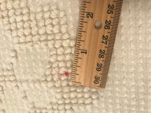 Hobnail Candlewick CHENILLE Bedspread Fringe Floral Ivory Cream Vintage 84"x106" - Picture 23 of 24