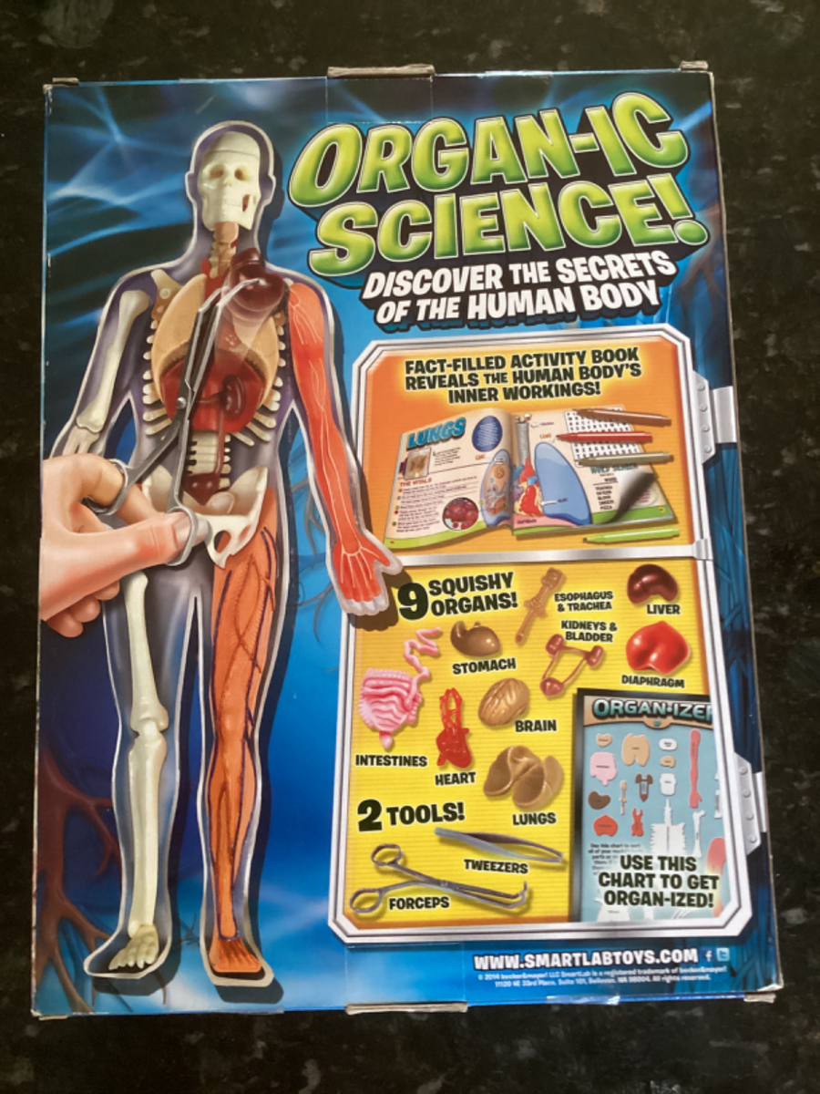 SmartLab Squishy Human Body 21 Removable Body Parts SEALED