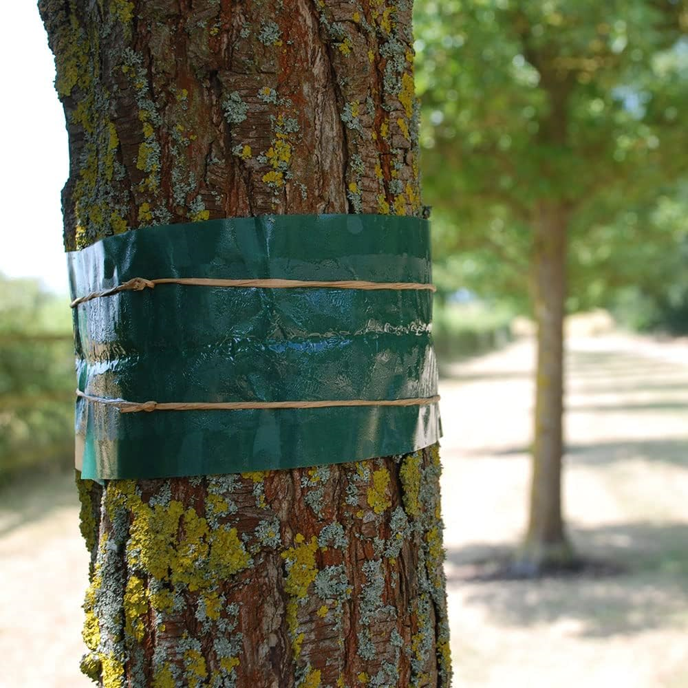 Provanto Ultimate Bug Killer Fruit Tree Grease Band-NRTG043