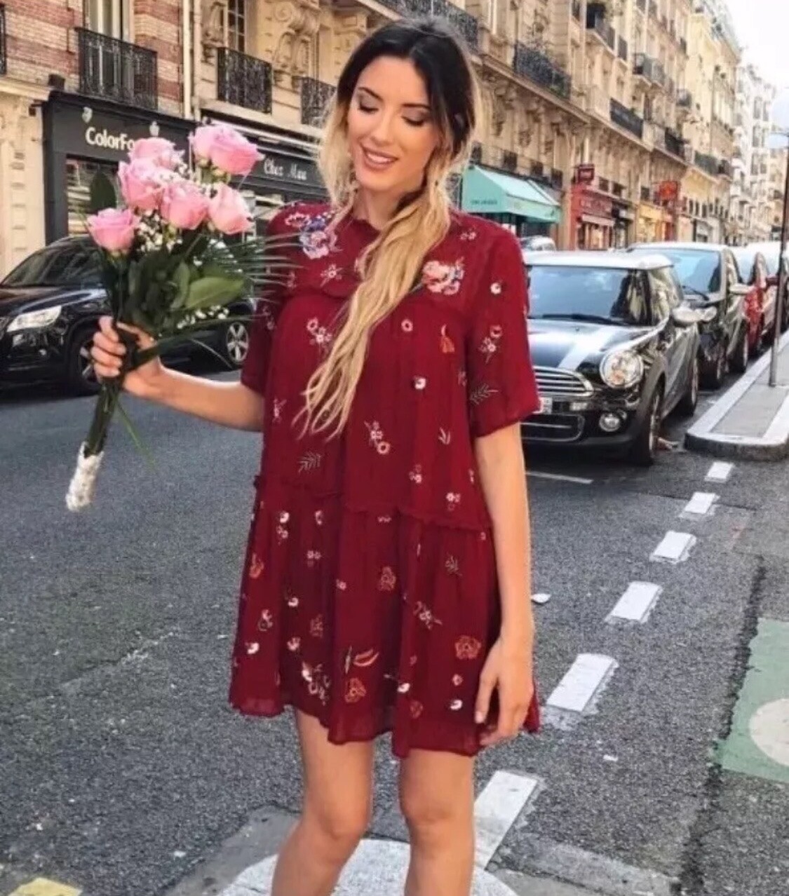 zara embroidered mesh dress