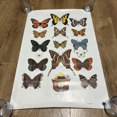 LOVELY POSTER SMOKEY BEAR US FOREST SERVICE BUTTERFLIES BUTTERFLY NAMES Vtg