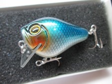 20304) SALE Fish Arrow mini Cranking Jack MR Wooden Crankbait Blue Shad
